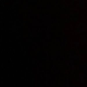 Meet your Posher, Brady